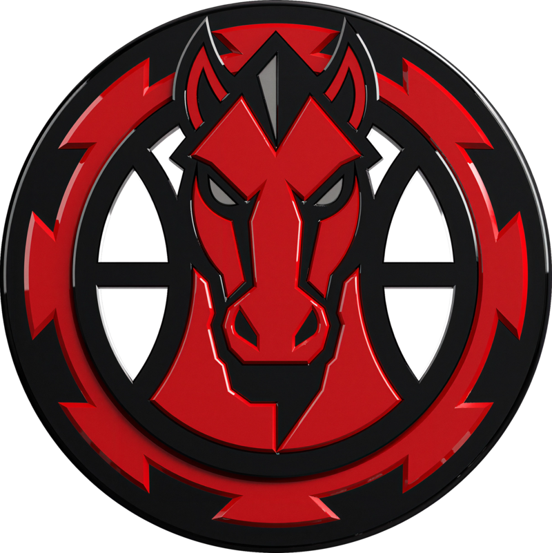 Mulhouse Mustangs Association