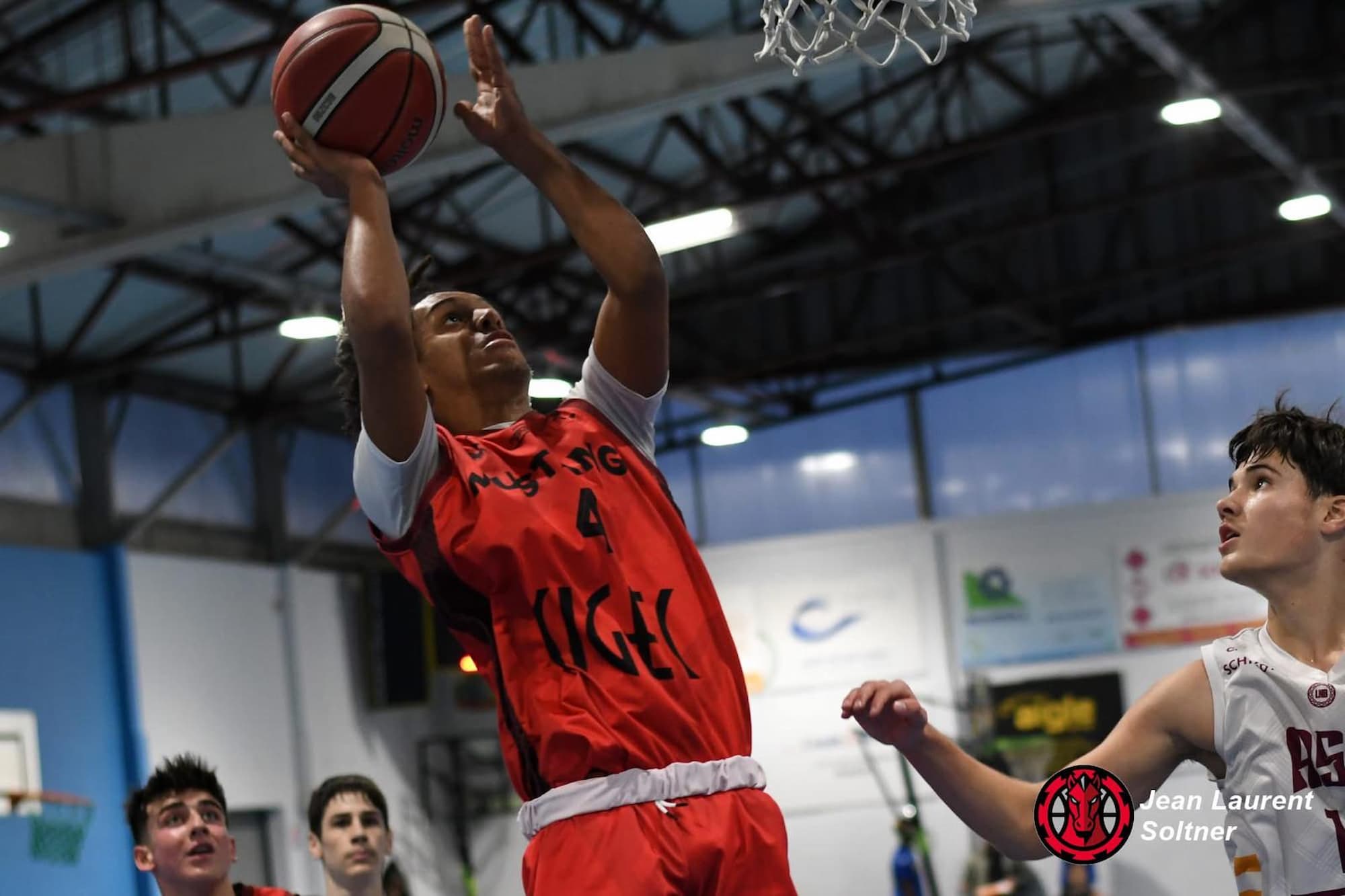 CLUB_MULHOUSE_MUSTANGS_ASSOCIATION2 | Mulhouse Mustangs Association Découvrez le club de basket Mulhouse Mustangs Association à Mulhouse et Pfastatt Saint-Louis 2
