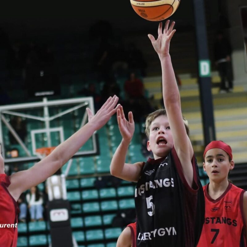 CLUB_MULHOUSE_MUSTANGS_ASSOCIATION4 800X800 | Mulhouse Mustangs Association Découvrez le club de basket Mulhouse Mustangs Association à Mulhouse et Pfastatt Colmar 19