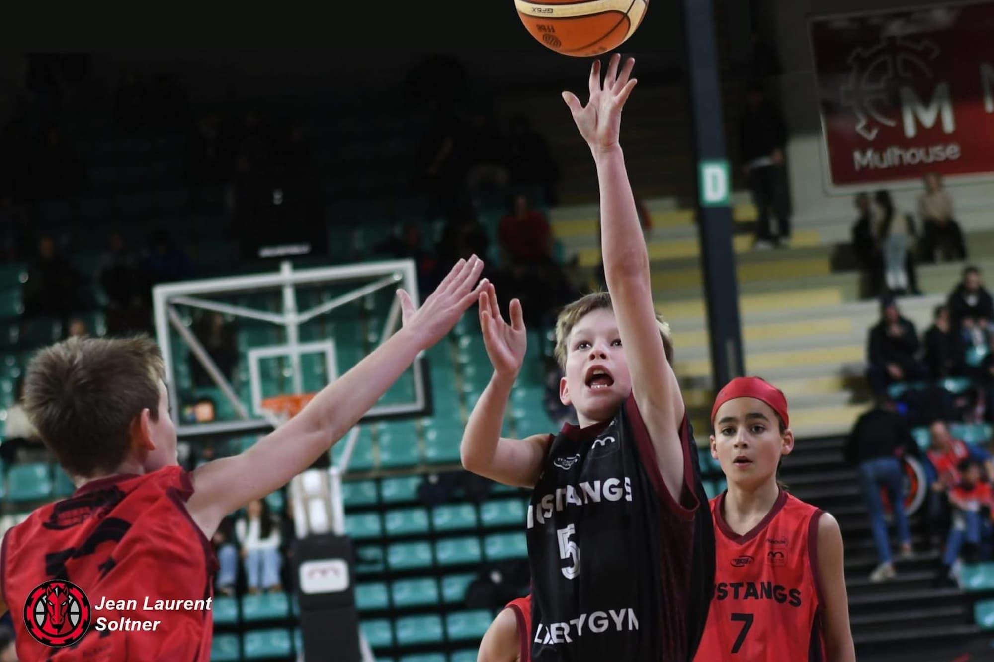 Association de basket Mustangs, b&eacute;n&eacute;volat et &eacute;v&eacute;nements &agrave; Mulhouse et Pfastatt Illzach 1