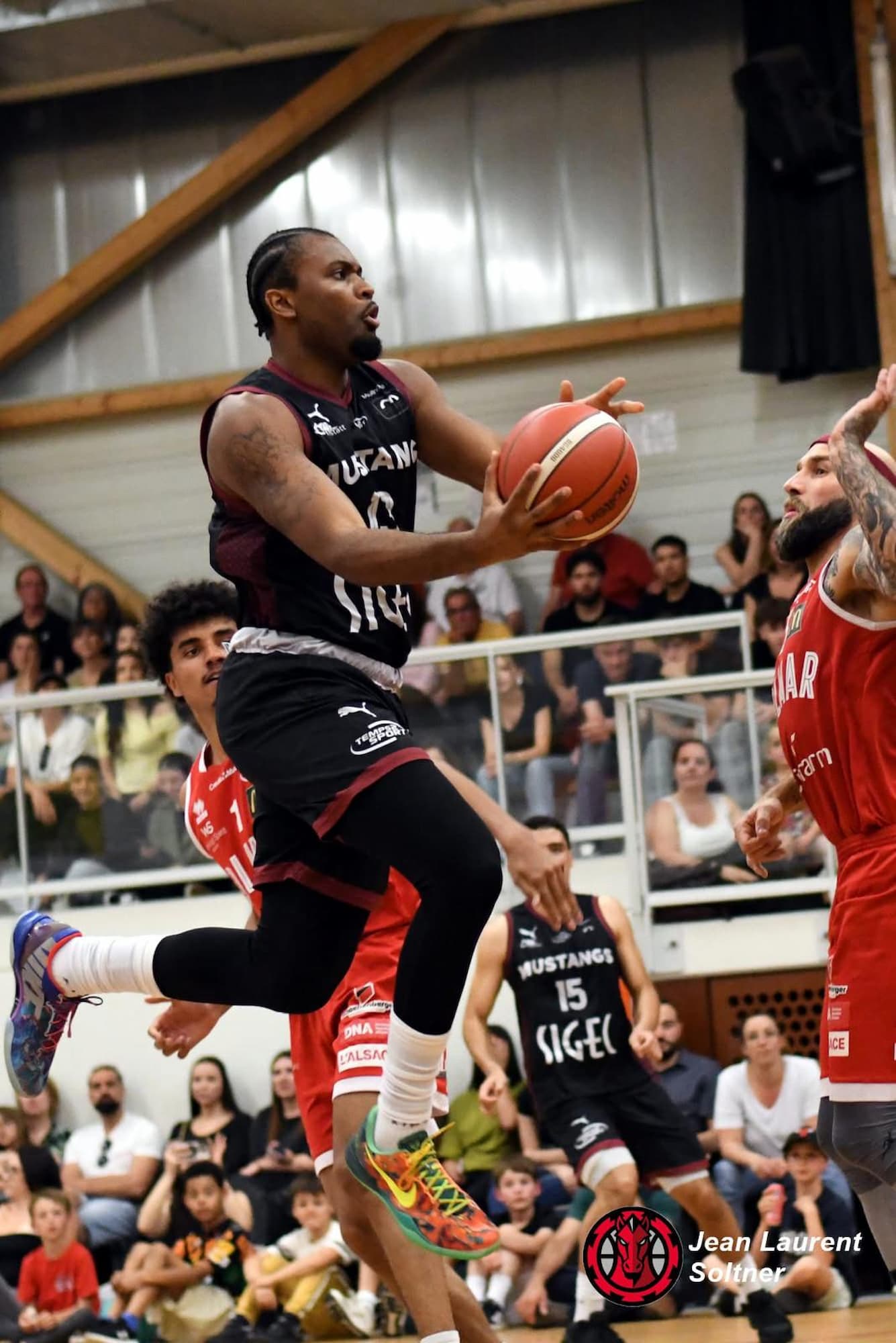 Formation basket, stages et projet sportif des Mustangs &agrave; Mulhouse et Pfastatt Rixheim 1