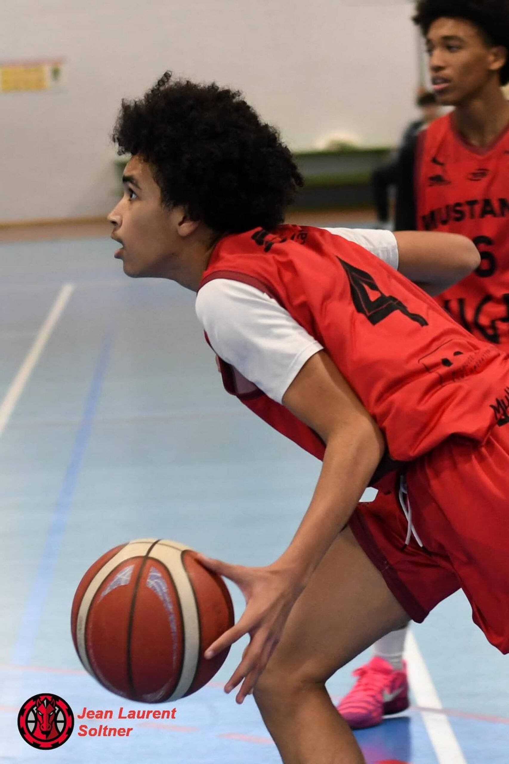 Formation basket, stages et projet sportif des Mustangs &agrave; Mulhouse et Pfastatt Wittelsheim 0